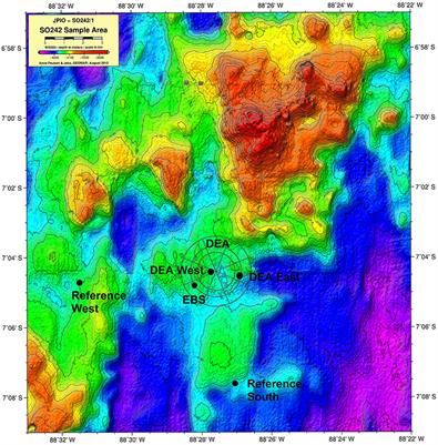 Biogeochemical Regeneration of a Nodule Mining Disturbance Site: Trace Metals, DOC and Amino Acids in Deep-Sea Sediments and Pore Waters